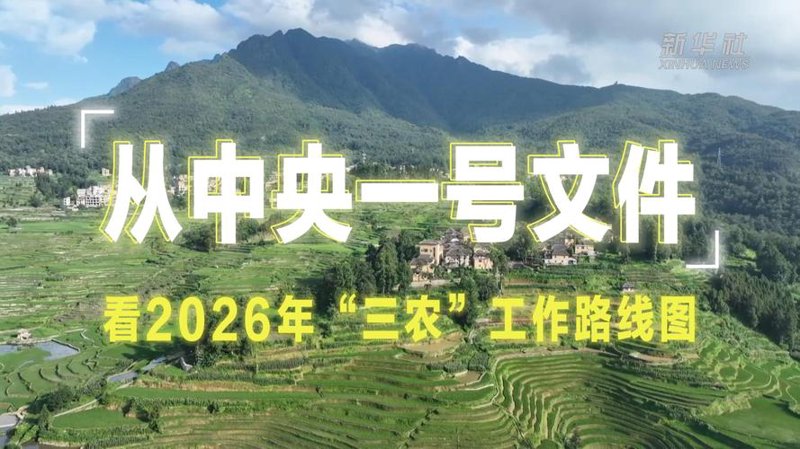 农业政策引领乡村振兴新蓝图