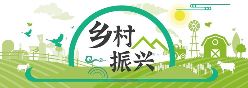 乡村振兴：共筑美丽乡村梦