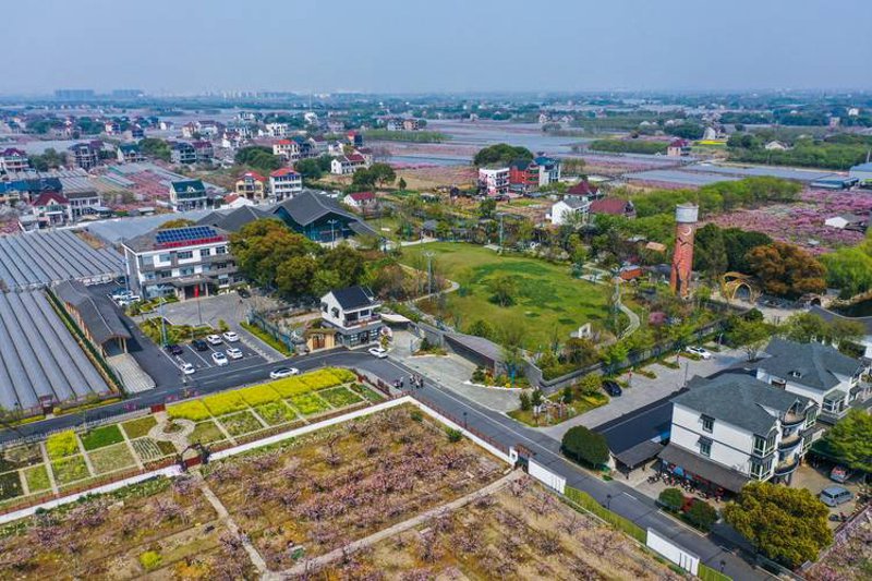 乡村振兴